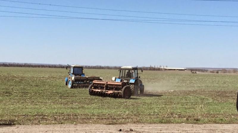 На Миколаївщині найнижча орендна плата за землю — Земельний банк