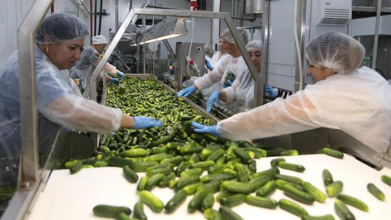 На Тернопіллі запрацював завод овочевих консервів На Тернопіллі запрацював завод овочевих консервів