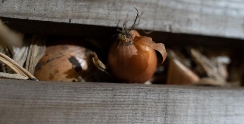 З 2026 року фермери зможуть отримати гранти на будівництво овочесховищ