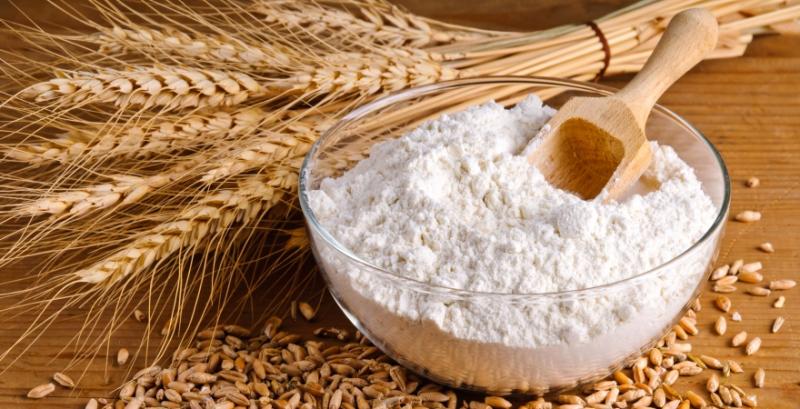 Органічні виробники Полтавщини експортують продукцію до 20 країн світу