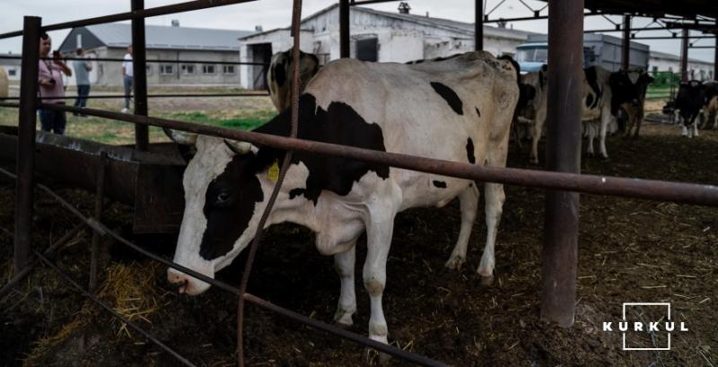 Тваринникам компенсують 25% витрат на будівництво чи реконструкцію ферм: заявки прийматимуть у ДАР