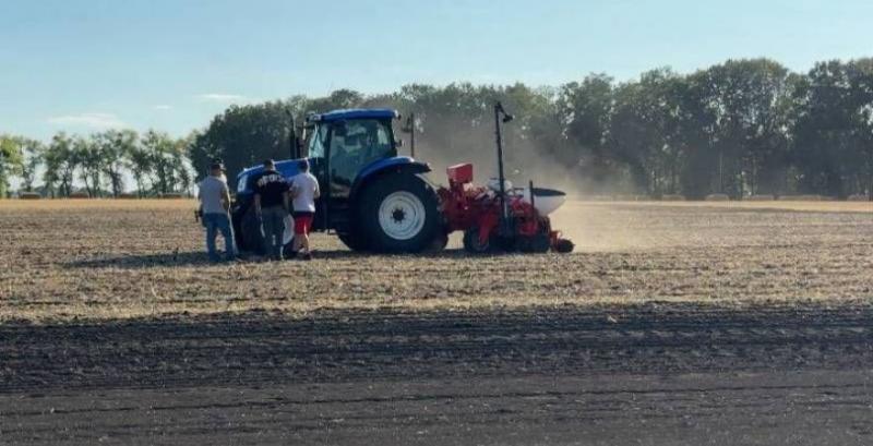 Аграрії Полтавщини розширюють озимий клин під урожай 2026 