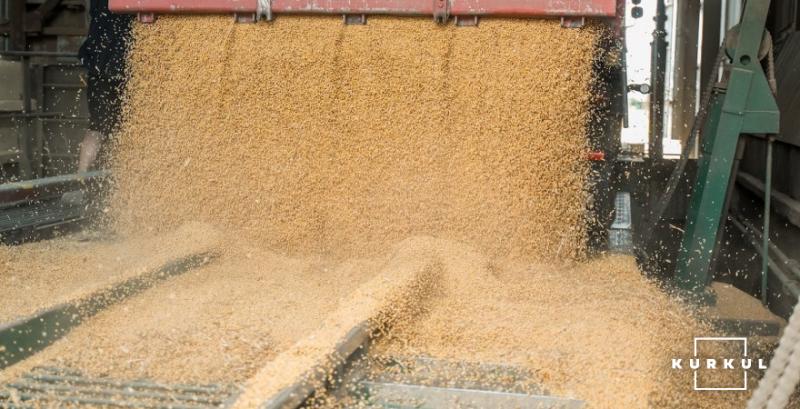 На внутрішньому ринку падають ціни на пшеницю