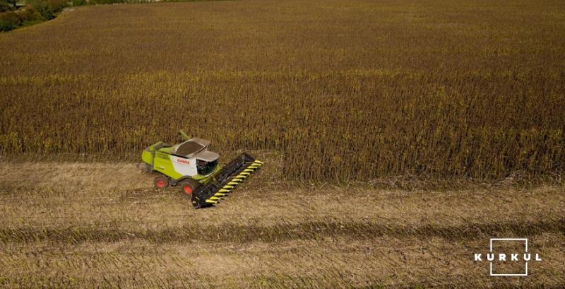 Жнива соняшника