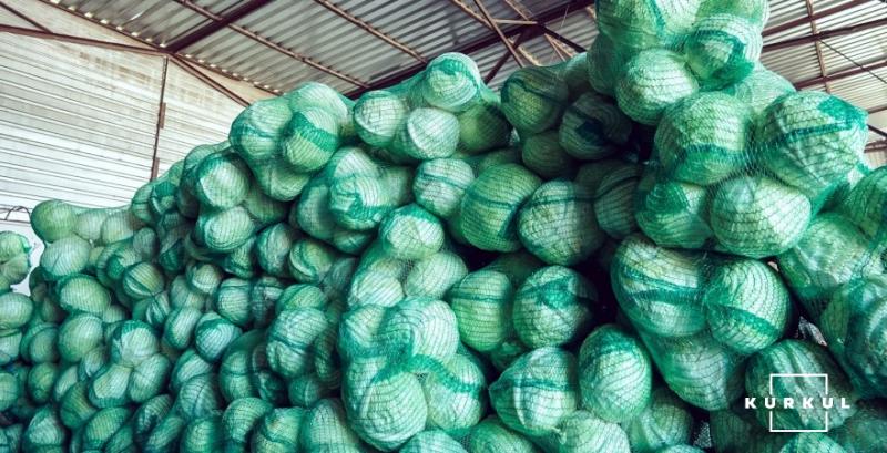 Капуста дорожчає на фоні недостатньої пропозиції Капуста дорожчає на фоні недостатньої пропозиції