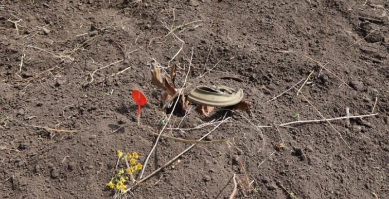 Повне очищення сільгоспземель від мін може розтягнутись на десятиліття — Розрахункова палата