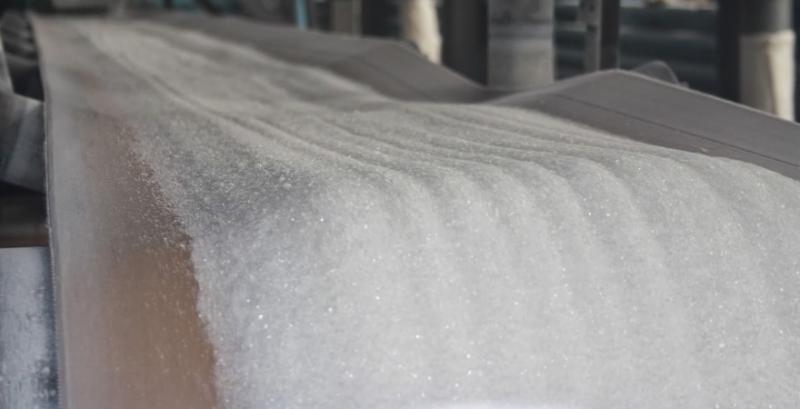 В Україні стартував сезон цукроваріння 2025/26