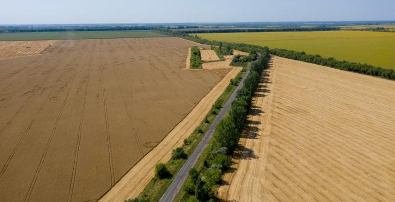 Кабмін змінив порядок ведення Держземкадастру Кабмін змінив порядок ведення Держземкадастру