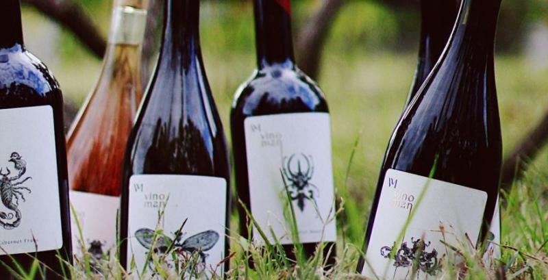 Крафтова виноробня може стати прибутковою вже за два роки