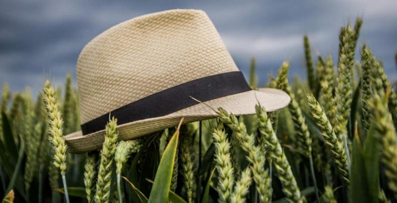 Вебінар для фермерів: 5 простих кроків до отримання грантів Вебінар для фермерів: 5 простих кроків до отримання грантів