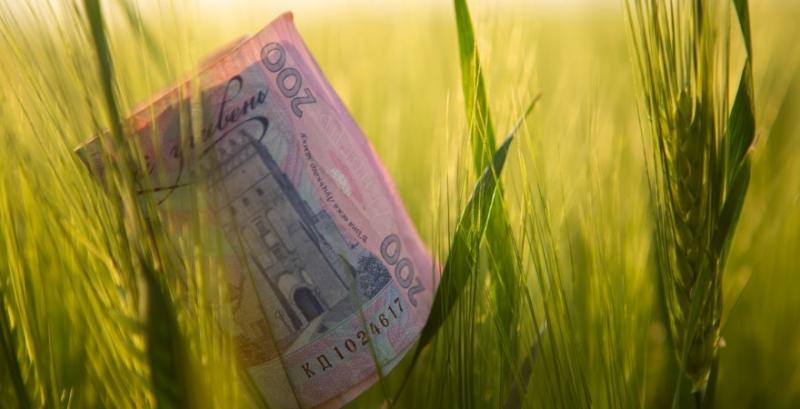 Кабмін схвалив проєкт Держбюджету 2026: на АПК заклали 13,1 млрд грн