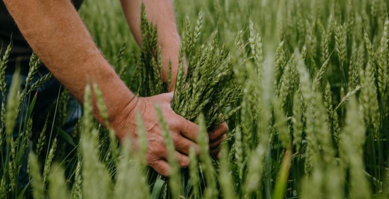 У Києві відбудеться Forbes Agro: інвестиції, технології, глобальні можливості