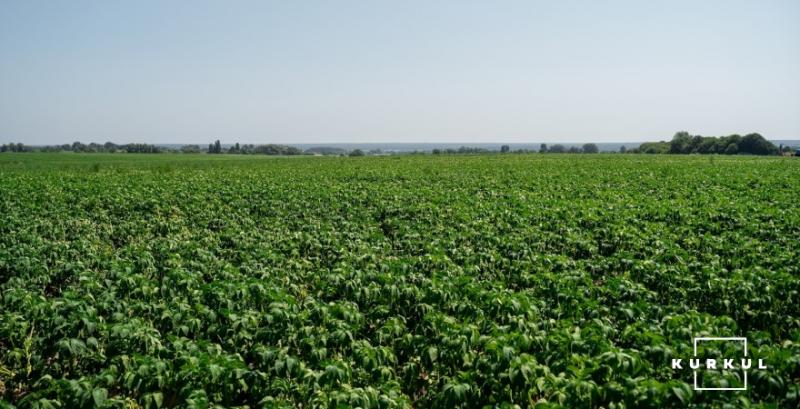 Юрособи зможуть отримувати дані про земельні ділянки у застосунку моЄ