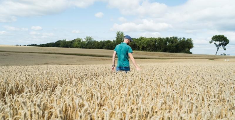 У Мінекономіки розповіли, які програми підтримки фермерів діятимуть у 2026 році