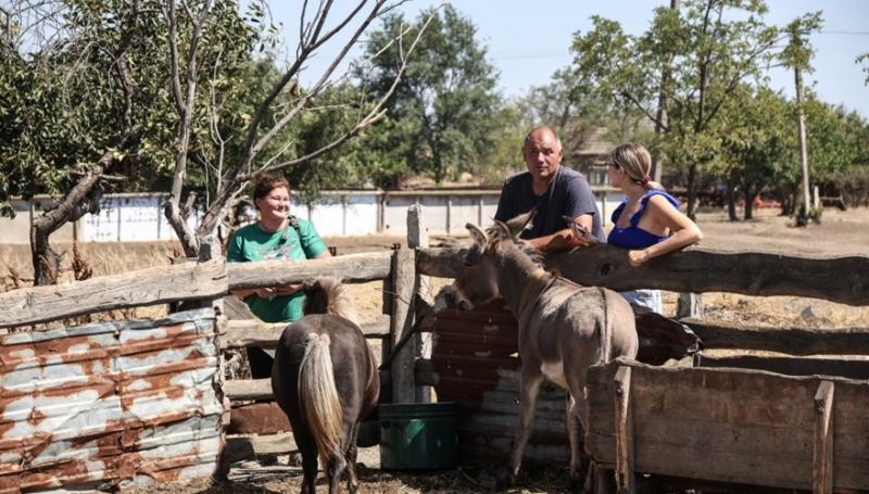 Ферма Хаджидер на Одещині
Ферма Хаджидер на Одещині