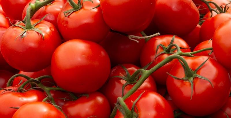 Імпорт помідорів в Україну влітку 2025 року зріс на 21%