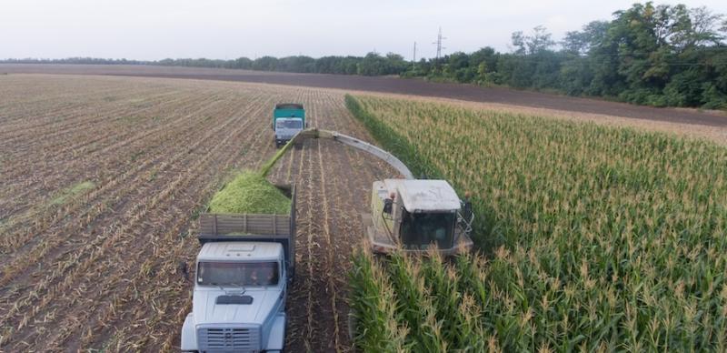 НУБІП запускає курс з розсадництва та агролісівництва НУБІП запускає курс з розсадництва та агролісівництва