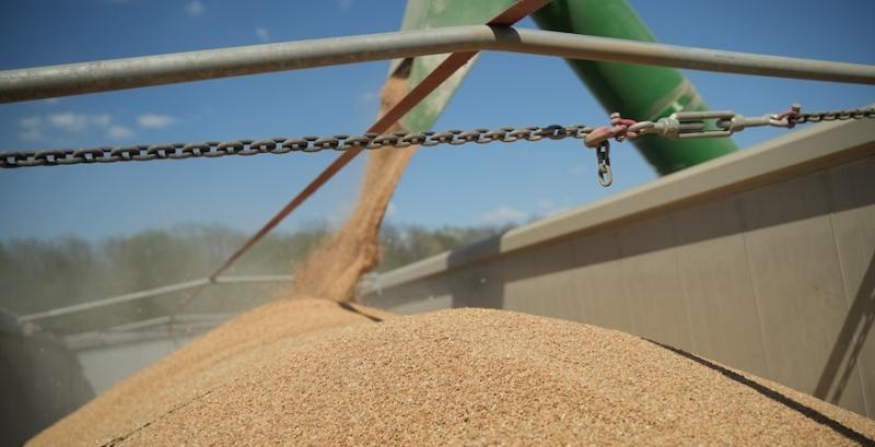 Експорт української агропродукції у вересні знизився на чверть Експорт української агропродукції у вересні знизився на чверть