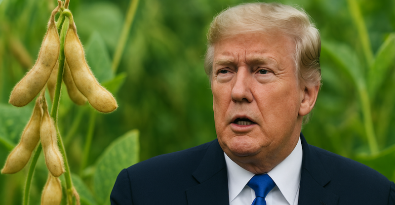 Соя стане ключовою темою зустрічі Трампа зі Сі Цзіньпіном 