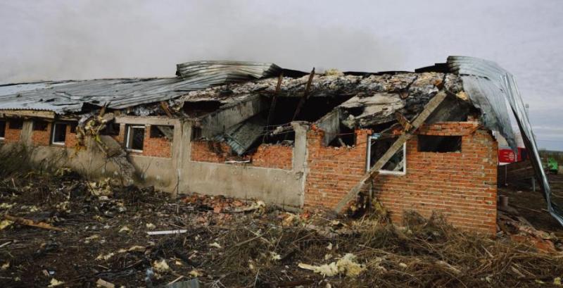 Внаслідок атаки російських БпЛА на підприємстві з Харківщини загинуло близько 13 тисяч свиней Внаслідок атаки російських БпЛА на підприємстві з Харківщини загинуло близько 13 тисяч свиней