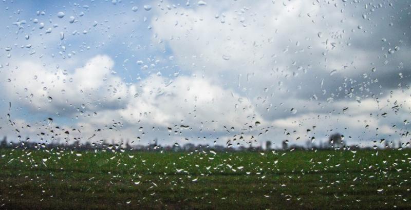 Дощі поповнили запаси продуктивної вологи — агрометеорологи