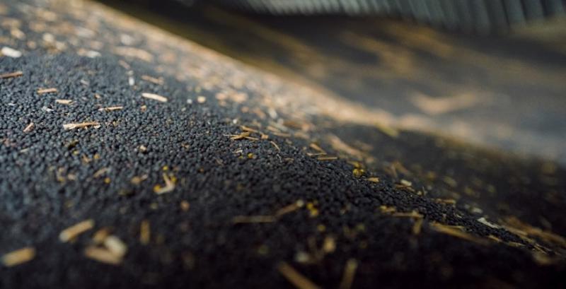 Закупівельні ціни на ріпак у переробників на $30-40 нижчі за експортні 