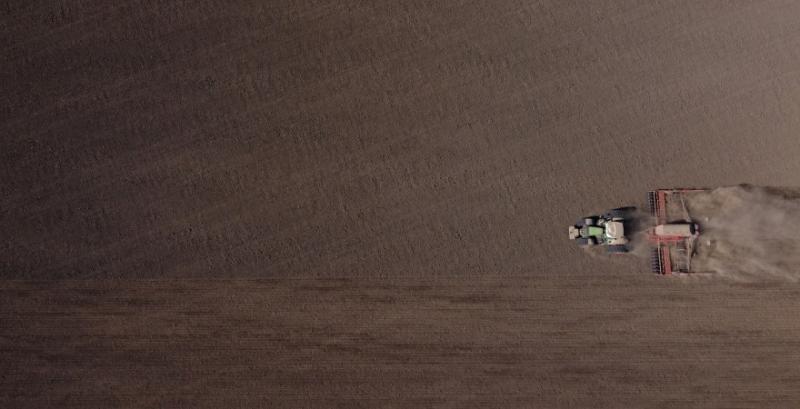 Посівна озимої пшениці Посівна озимої пшениці