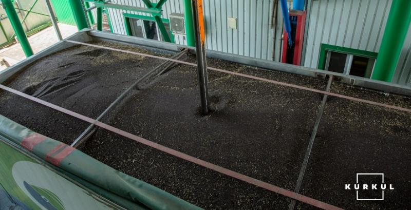 У вересні внутрішня переробка ріпаку перевищила експорт