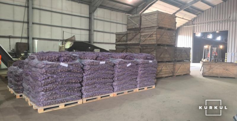 Овочесховище на 2 тисячі т зберігання «під ключ» обійдеться у $1 млн — фермер