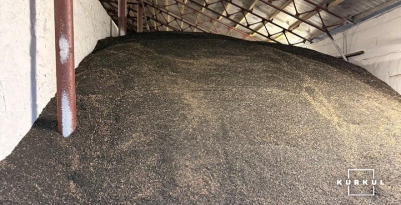 Станилівка Агро планує на складах встановити сонячні батареї