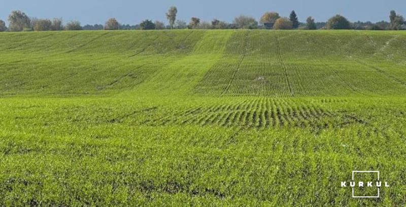 Третина площ під озимину в ряді регіонів залишилась недосіяною через посуху