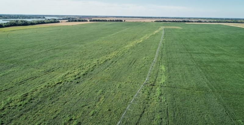 В Україні близько 4 млн га земель обробляються «в тіні» — Башлик В Україні близько 4 млн га земель обробляються «в тіні» — Башлик
