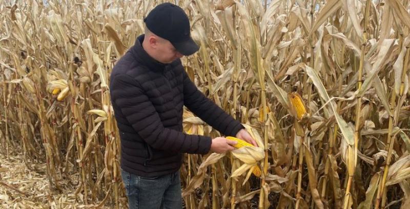 СФГ «Поділля» СФГ «Поділля»