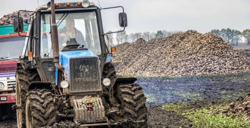 На Вінниччині два цукрозаводи призупиняли роботу через нестачу сировини На Вінниччині два цукрозаводи призупиняли роботу через нестачу сировини