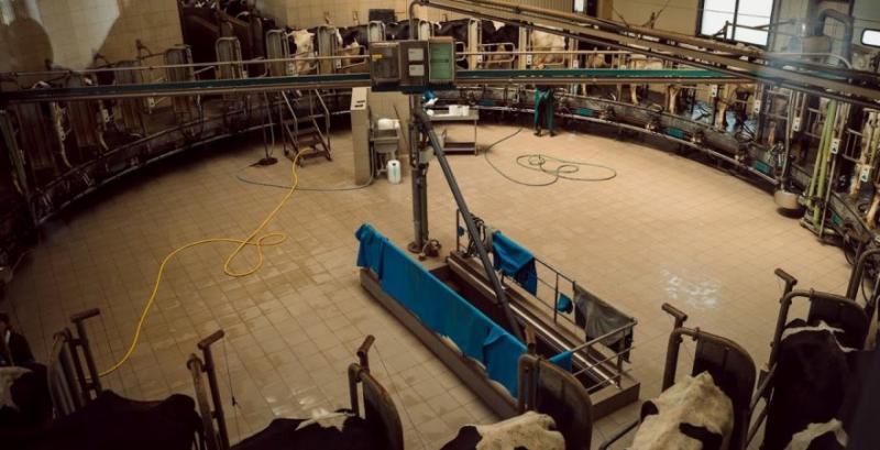 Доїльний зал СТОВ «Перемога» Доїльний зал СТОВ «Перемога»