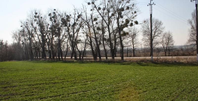 За дві доби у застосунку моЄ землевласники виставили на продаж понад 300 ділянок За дві доби у застосунку моЄ землевласники виставили на продаж понад 300 ділянок