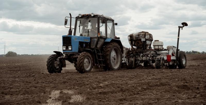 Аграрії засіяли озимими культурами понад 5 млн га Аграрії засіяли озимими культурами понад 5 млн га