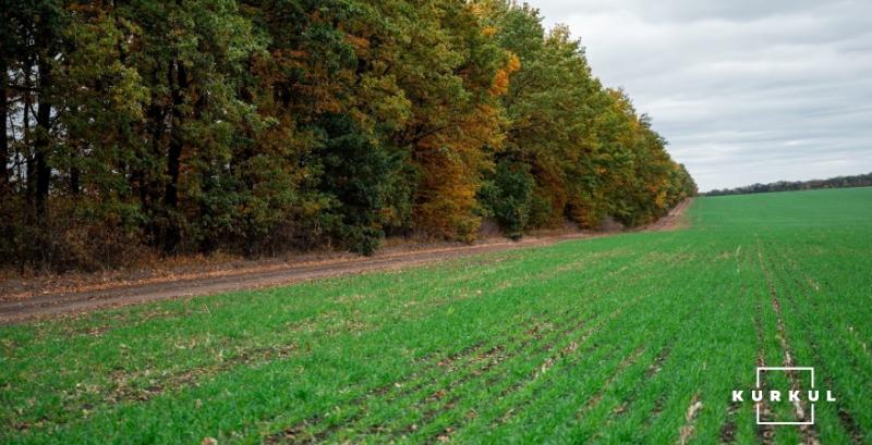 СТОВ «Скіф»