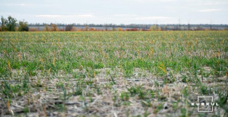 ФГ Аннушка з Миколаївщини вивело із сівозміни сою та озимий ріпак