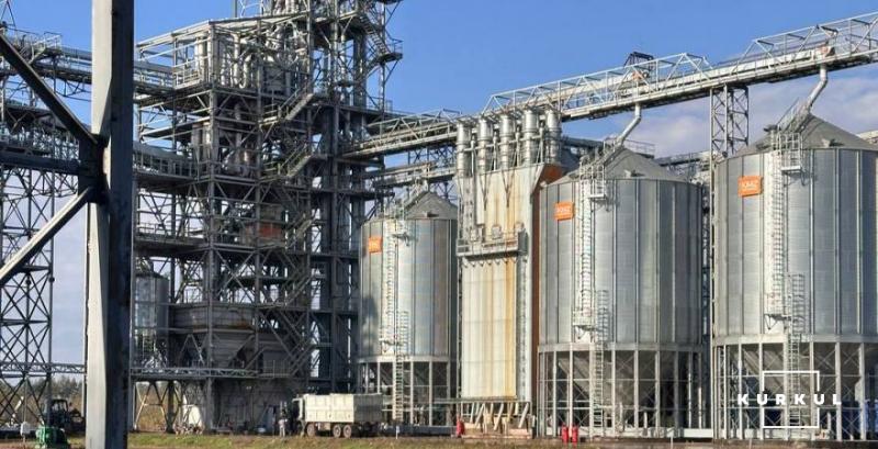 Завдяки власній зерносушарці рентабельність кукурудзи підвищується на 17-20% — думка