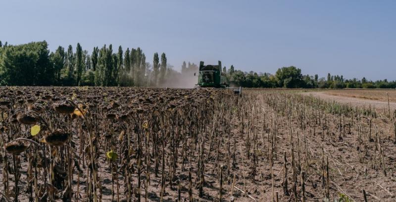 Переробників може очікувати черговий збитковий рік — брокери Переробників може очікувати черговий збитковий рік — брокери