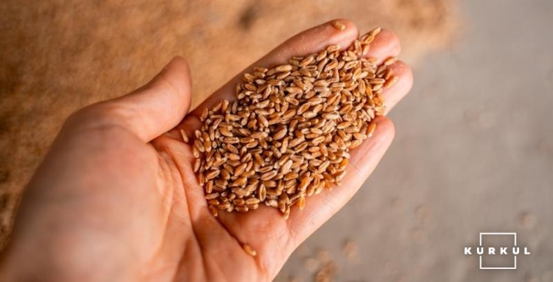 Ціни на пшеницю не змінюються вже три тижні поспіль