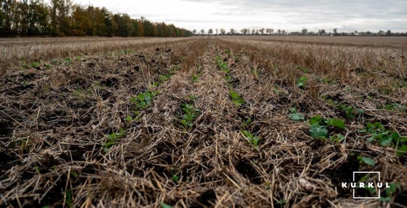 Дощі поповнили вологозапаси у ґрунті — агрометеорологи
