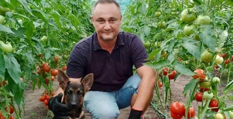 Ветеран з Полтавщини завдяки держгранту розвиває тепличний бізнес Ветеран з Полтавщини завдяки держгранту розвиває тепличний бізнес