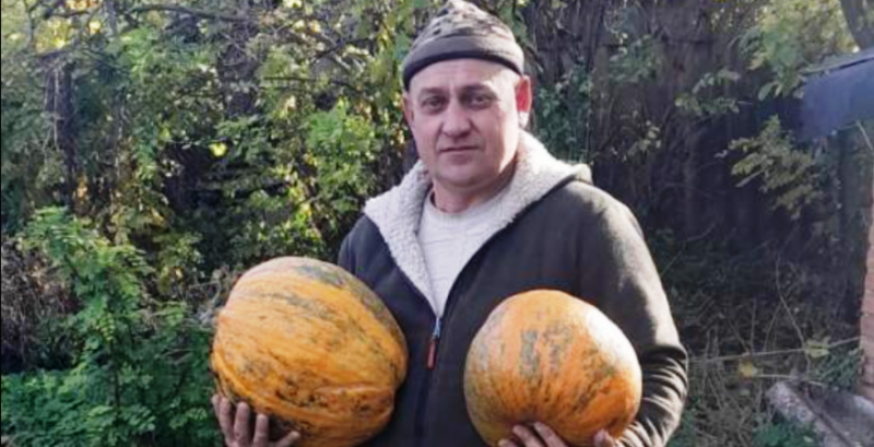 Ветеран з Кіровоградщини зайнявся гарбузовим бізнесом