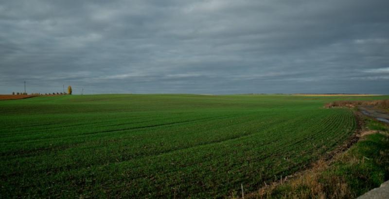 Оренда землі: скільки платять за пай у регіонах України Оренда землі: скільки платять за пай у регіонах України