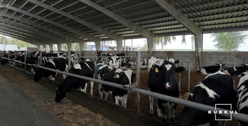 Господарство з Тернопільщини планує розвивати тваринництво та збудувати елеватор