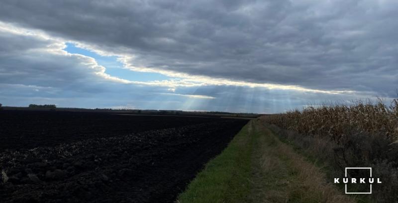 Десятипільна сівозміна проти погодних викликів — досвід господарства з Вінниччини
