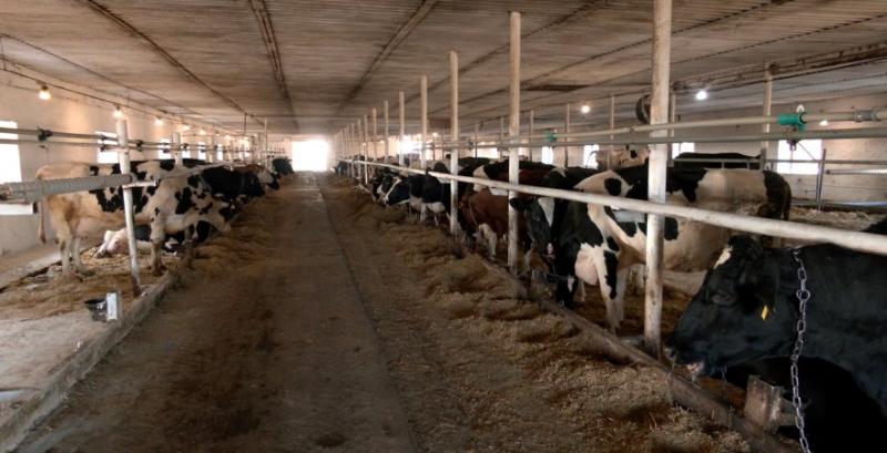 ТОВ «Красногірське»