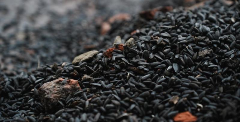 Фермер з Харківщини втратив близько 8 тонн соняшника через влучання російського КАБу у склад Фермер з Харківщини втратив близько 8 тонн соняшника через влучання російського КАБу у склад